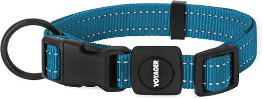 Best Pet Supplies Reflective Dog Collar with Adjustable Length, Heavy-Duty Buckle, and Strong Leash D-Ring, Training, Walking, Jogging Accessory for Small, Medium, and Large Breeds - Turquoise, L