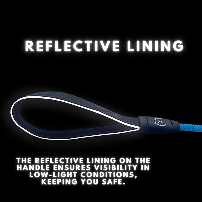 ShawnCo Basecamp Rope Dog Leash- Premium, Durable Pet Leash with Soft Neoprene Padded, Reflective Handle for Small, Medium and Large Dogs (Pacific Blue, 6 Feet)