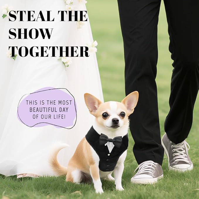 AVERYDAY XS Pet Tuxedo Harness, Wedding Costume Outfit for Small Dogs, Slim Cats and Tiny Pets with 8.3" Neck, 13-14.6" Chest, 10" Max Head Girth, Formal Suit Costume for Mini Breeds