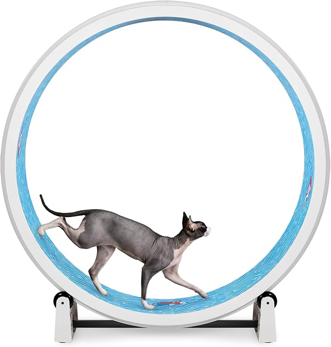 One Fast Cat - Cat Exercise Wheel - Gen. 7 - Safe 48" Diameter - Made in The USA - White Wheel with Koi Pond Foam Traction Pads and Solid Black Inline Wheels
