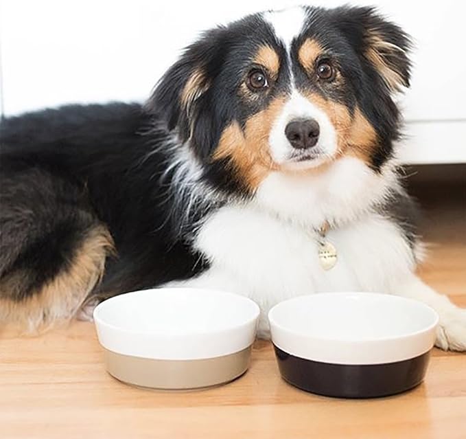 Waggo Dipper Ceramic Dog Bowl for Small and Large Breeds - Heavyweight and Durable Pet Food and Water Dish Crock, Dishwasher Safe, Modern (Mint, Medium)