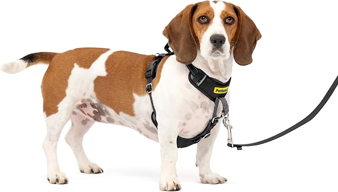 PetSafe Easy Walk Comfort No-Pull Dog Harness - Better Walk Training Harness - Full Body Padded Design - Durable Fabric - 5 Point Adjustable Fit - Everyday Leash Training - Black - Small/Medium
