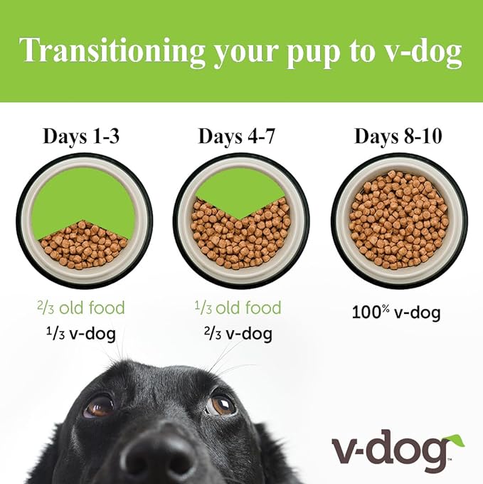 V-dog Vegan Kibble Dry Dog Food (24 LB) | Plant Based Protein with Added Taurine for Sensitive Stomach and Skin | Adult Dog Food | Vegetarian Superfood | Made in US