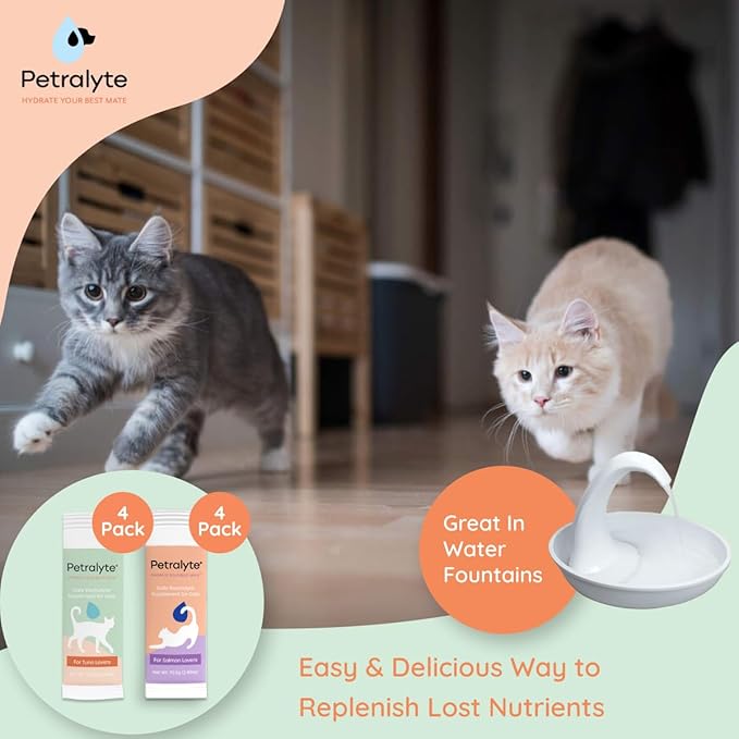 Cat Hydration Electrolyte and Cat Joint Supplement | Hydration Support for Cats w/Glucosamine, Chondroitin, L-Glutamine, Taurine, Lysine & Prebiotics | Tuna & Salmon | 8 Packets