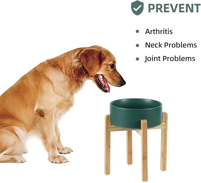 Ceramic Raised Dog Bowl Set, Elevated Dog Bowl with Stand, Food and Water Bowl for Large Breed Dogs, Weighted Pet Dishes(8.2'',60oz, Green)
