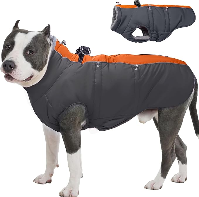 Dog Winter Jacket - XX Large, Warm Zip Up Snowsuit Dog Harness Vest, Reflective, Water-Resistant, Orange-Gray