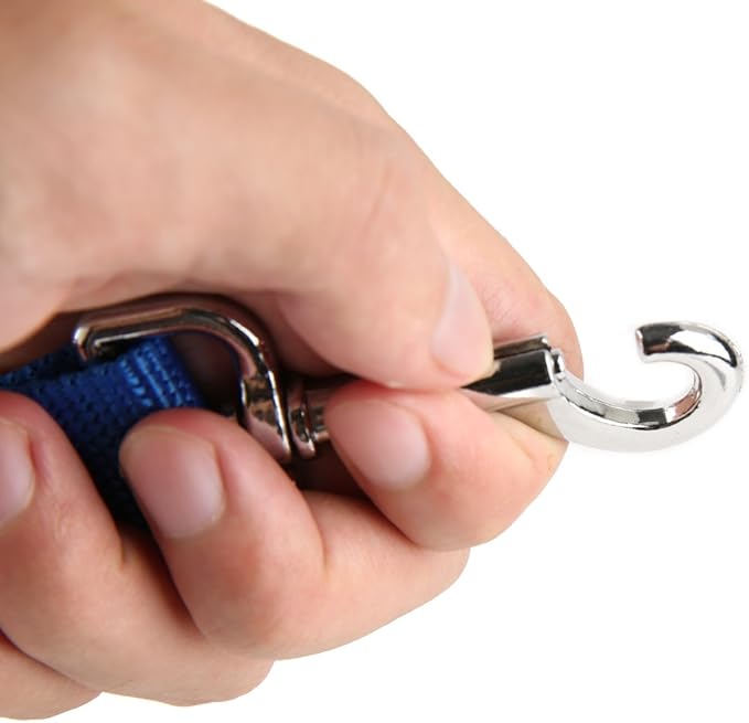 Nylon Dog Leash with 2-Layer, 4 FT/ 6 FT/ 7FT Long, 1 Inch Wide for Medium Large Dogs