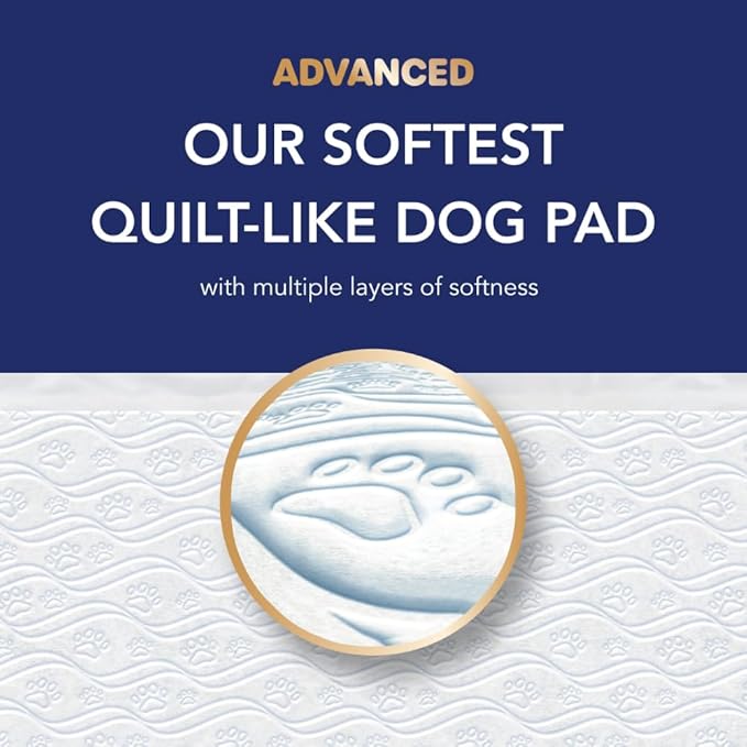 Scott Pet Guard Advanced Dog Pads - XL - 30" x 36" - 40 Pack of Pet Pads