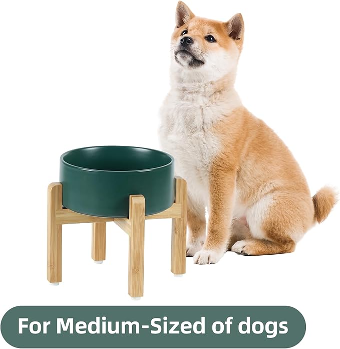 Ceramic Raised Dog Bowl Set, Elevated Dog Bowl with Stand, Food and Water Bowl for Medium Breed Dogs, Weighted Pet Dishes(7.3'',41OZ, Green)