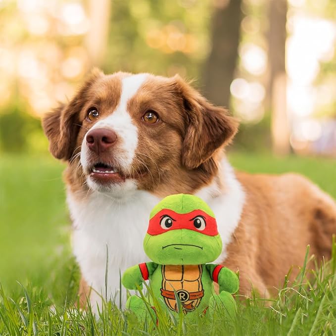 design LAB, Inc. Teenage Mutant Ninja Turtle Official Merchandise | TMNT Toys Squeaky Plush Dog Toy | Raphael | Stuffed Animal Turtle Squeaks for Interactive Play