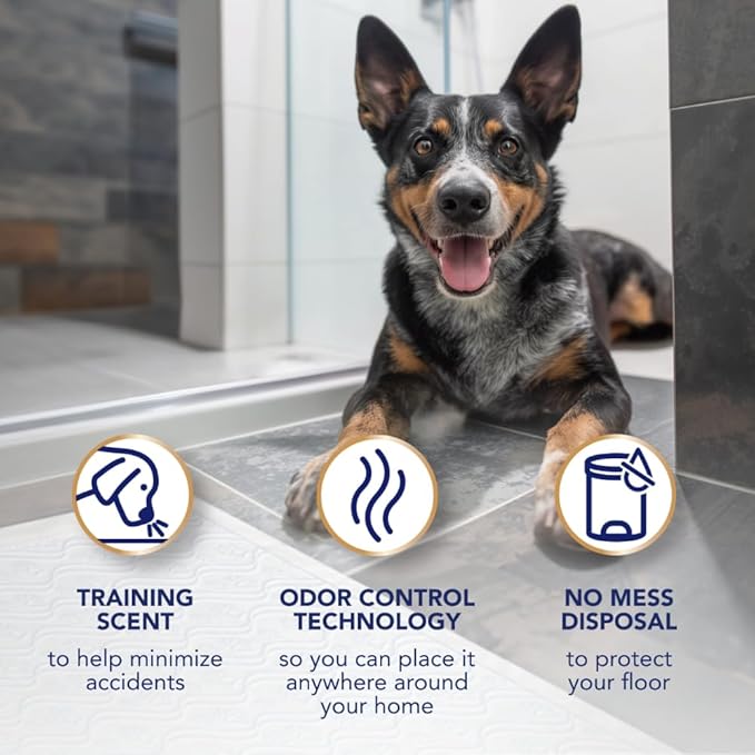 Scott Pet Guard Advanced Dog Pads - XL - 30" x 36" - 20 Pack