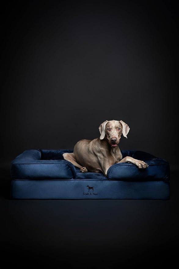 NOAH & PAW XL Dog Bed, 45x35x11 Inch, Orthopedic Large Dog Beds, Eggshell Memory Foam Infused with Cooling Gel, Inner Cover, Waterproof, Machine Washable (Velvet Sofa Collection)