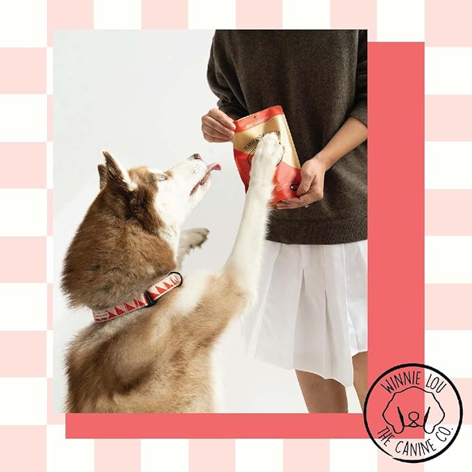 Winnie Lou Organic Healthy Dog Treats – All Natural Crunchy Dog Biscuits Made in USA with Organic Ingredients from Colorado Farms – for Small, Medium, Large Dogs - Peanut Butter Pretzels (Pack of 2)