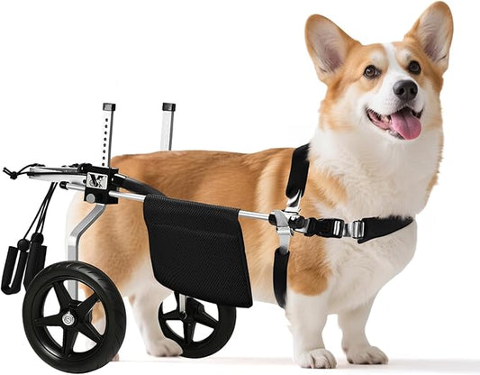 Corgi&Dachshund Dog Wheelchiar - Dog Wheelchair for Back Legs – Lightweight Adjustable Mobility Aid for Medium Dogs - Ideal for IVDD, Arthritis & Injury Recovery