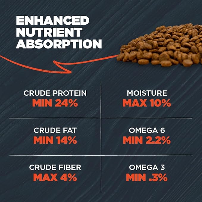 Blackwood Complete & Balanced Diet Dry Dog Food, Lamb Meal & Chicken Meal with Ancient Grains, 24 Pound Bag, Slow Cooked with Vitamins & Minerals
