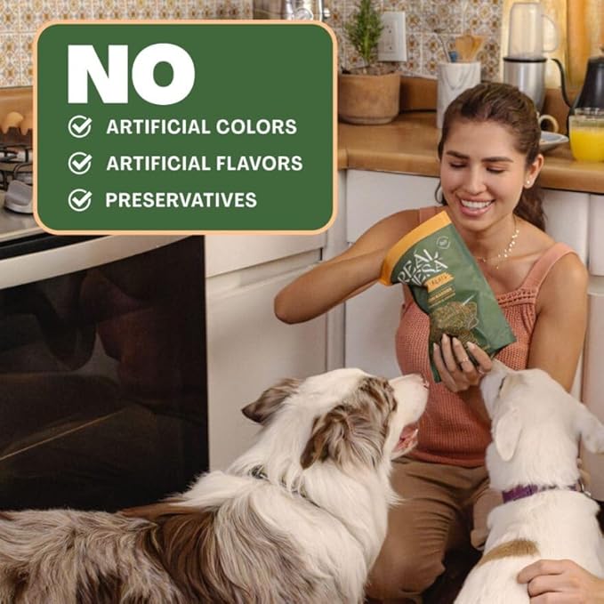 Chicken Kabob Jerky Treats for Dogs - All-Natural, Premium Chicken & High-Protein Dog Snacks for Training & Rewarding - Healthy, Delicious Kabobs Dog Treats (9.5oz)