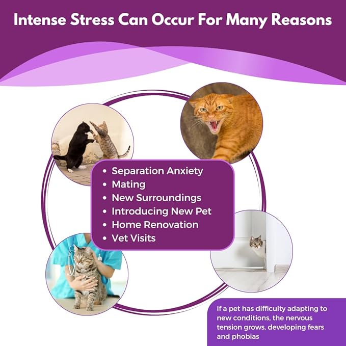 (Compatible with All Common Diffuser Heads) Cat Pheromone Diffuser Refill - 4 Pack Pheromones Refills - 4 Months Supply - Only Refills No Diffuser Head Included