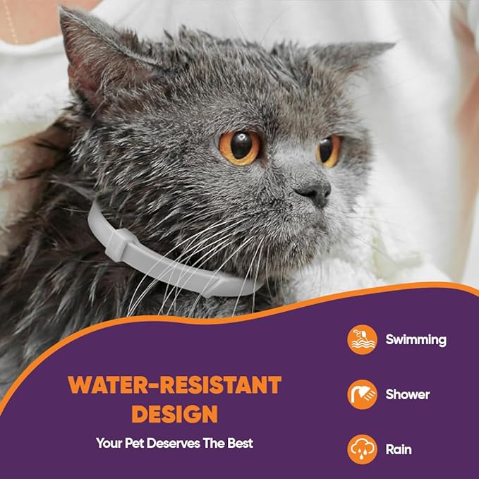 Calming Collars for Cats 6 Pack Grey & White Pheromone Cat Anxiety Collar Natural Stress Relief for Scratching, Marking & Loud Noises Adjustable Calming Collar for Kittens & Cats