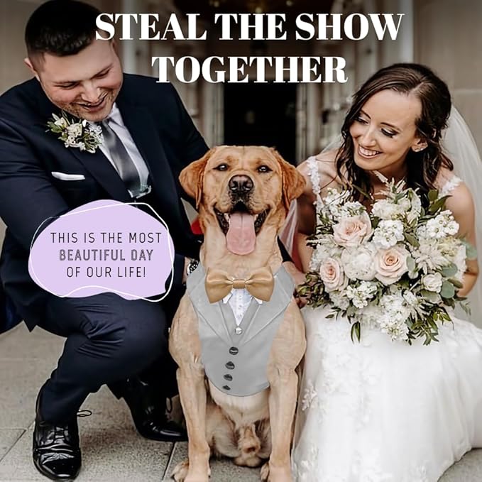 AVERYDAY Dog Tuxedo for Wedding Outfit, Dog Suit and Tie Costumes for Birthday, Halloween, Cosplay, Christmas Party, Pet Formal Wear with Bowtie, Tux for Medium Large Dogs, Bulldog, Labrador, Husky