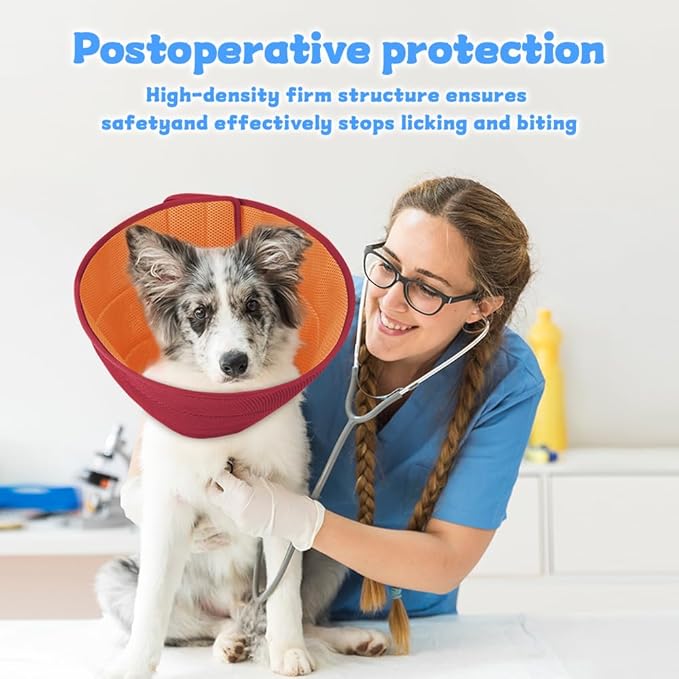Inspack Soft Dog Cone Collar Alternative, E Cones for Small Dogs/Cat/Puppy to Stop Licking after Surgery, Comfortable All Paws Comfy Elizabethan Collars, Neuter Recovery Ecollars of Shame Alternatives