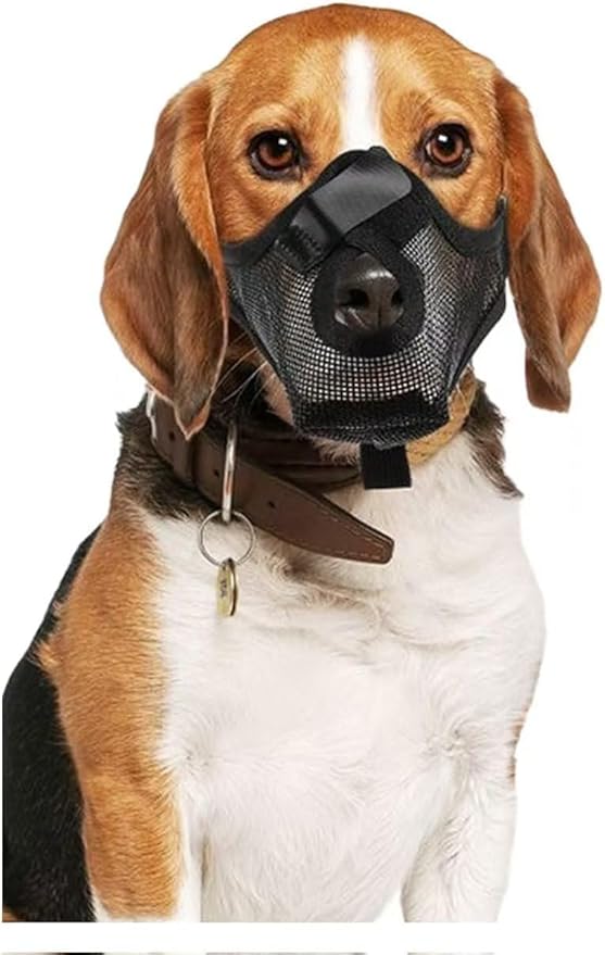 Clearance Soft Mesh Dog Muzzle for Anti-Scavenging & Grooming - Breathable Basket Muzzle for Walking & Vet Visits - Comfortable Adjustable Fit for Medium Dogs