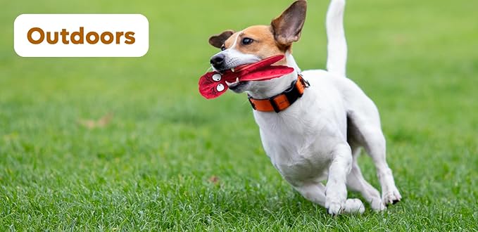 Squeaky Dog Toys – No-Stuffing Crinkle Plush, Durable Puppy Teething & Interactive Play, 2-Pack