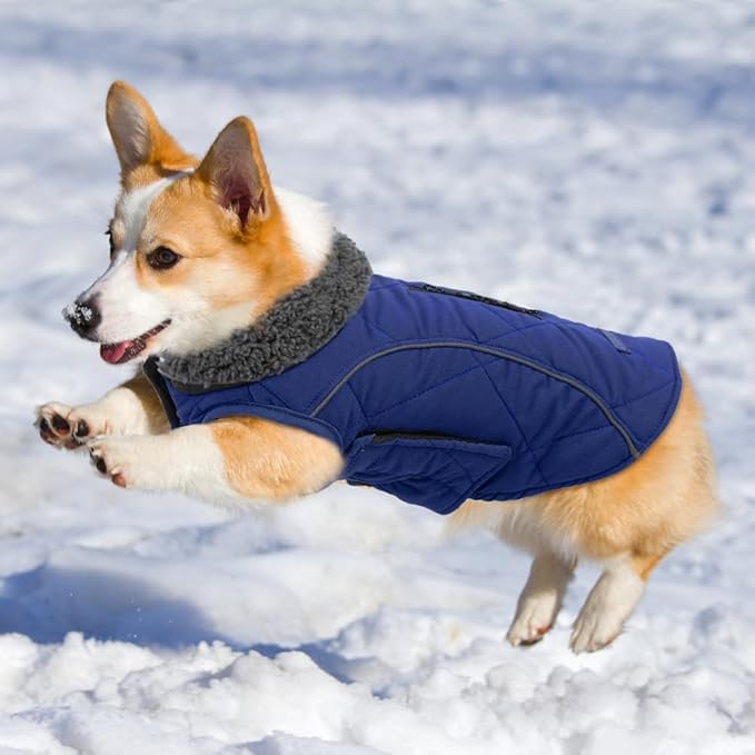 EMUST Dog Coats Winter, Thick Clothes for Medium Dogs Boy with Harness Hole, for Cold Weather, Dark Blue, M