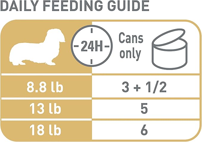 Royal Canin Breed Health Nutrition Dachshund Adult Loaf in Sauce Dog Food, 3 oz (Pack of 6)