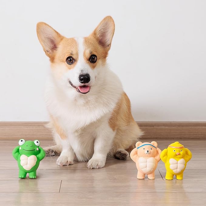 3 Pack Squeaky Dog Toys for Medium Dogs, Soft Latex Chicken Squeaky Dog Ball, Cute Funny Squeak Different Animals Frog Bear Chicken Pet Toys