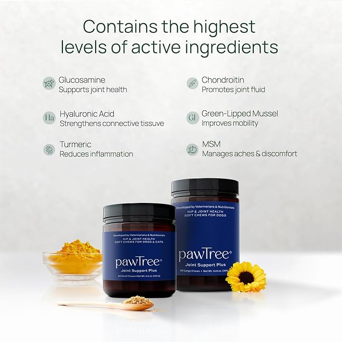 pawTree Joint & Hip Support Supplement for Dogs with Glucosamine, Chondroitin, MSM, Tumeric & Green Lipped Mussels - Vitamins, Supplements & Health Essentials - All-Natural Mobility Soft Chews