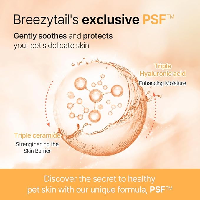 PetO’Cera All-in-One Cat Shampoo and Conditioner | Hypoallergenic Cat Skin & Coat Care | Itch Relief, Moisturizing & Rejuvenating | Veterinarian Approved and Formulated (10.1oz, 300ml)