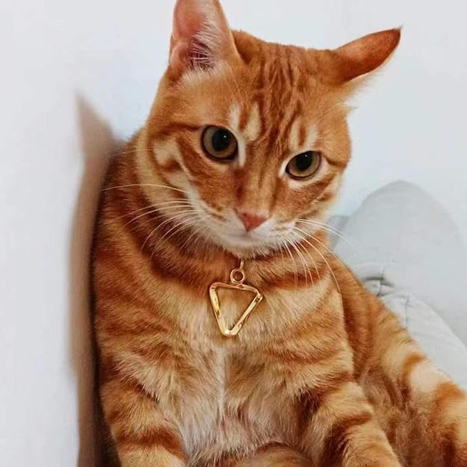 Dogs ID Tags Personalized Double Sided Deep Engraved Cat & Dog Collar Charm Triangle Shape Brass