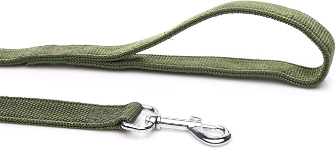Strong Nylon Dog Leash with 2-Layer, 4 FT/ 6 Feet Long, 1 Inch Wide for Medium Large Dogs (1'' x 7 FT, Green)