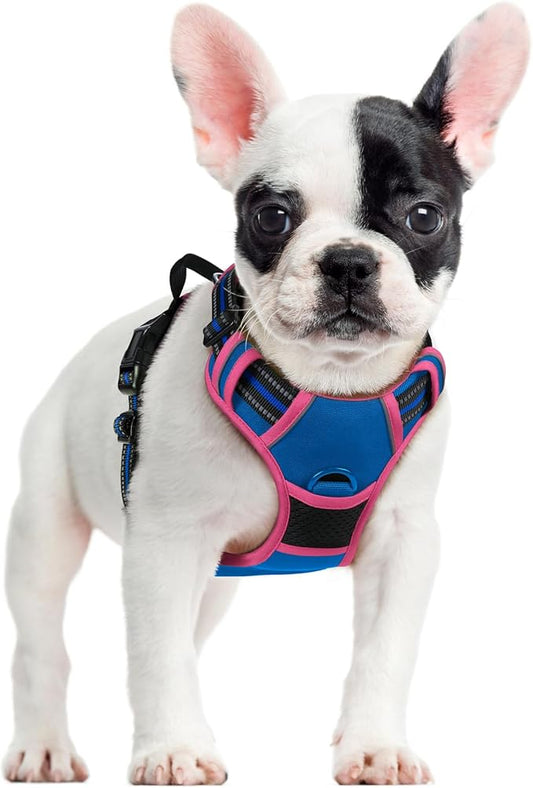 rabbitgoo Dog Harness No Pull with 2 Leash Clips, Adjustable Soft Padded, Reflective Oxford No Choke Pet Vest with Easy Control Handle for Large Dogs, Blue & Hot Pink, S
