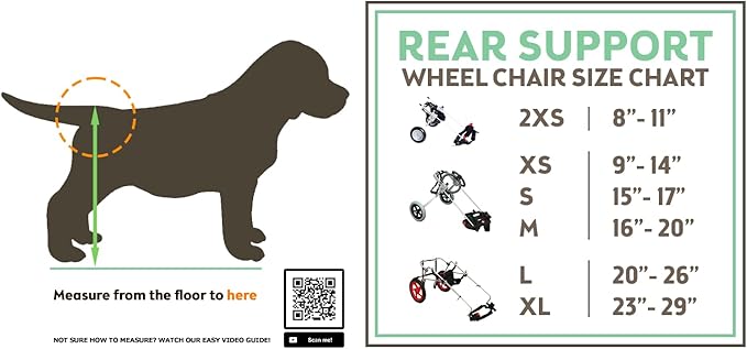 Standard Rear Support Dog Wheelchair FML Elite, Large