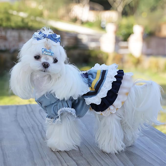 MengYu Princess Dresses for Small Dog Lolita Clothes for Cat Velvet Costume Pretty Lace Outfits Fall Costumes (Blue, XS)