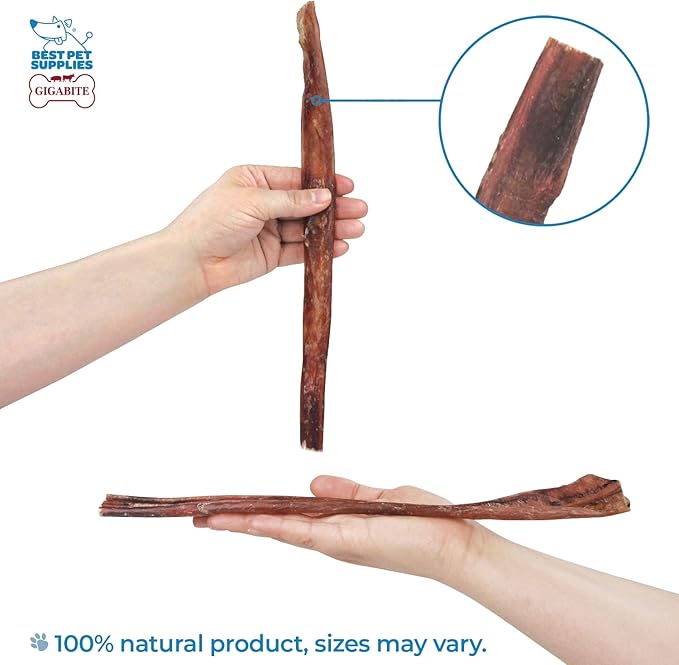 GigaBite Single Ingredient All Natural Free Range Bully Treats and Chews - Bully Sticks/Bladder Sticks/Beef Esophagus by Best Pet Supplies - Bully Sticks (Half-cut 12"), Pack of 10