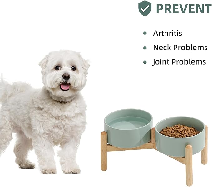 Ceramic 6.1inch Raised Dog Bowl with Stand for Small and Medium Breed Dog Dish Pet Food and Water Bowl (Double Bowl with Stand - Light Green, 28oz)