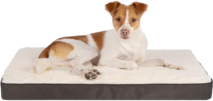 Best Pet Supplies Cute Dog Crate Mat Flat Bed with Waterproof Exterior, Thick Orthopedic Egg Foam Mattress, and Soft Sherpa Fleece Cover for Small, Medium, and Large Breeds - Brown, 30X20X3