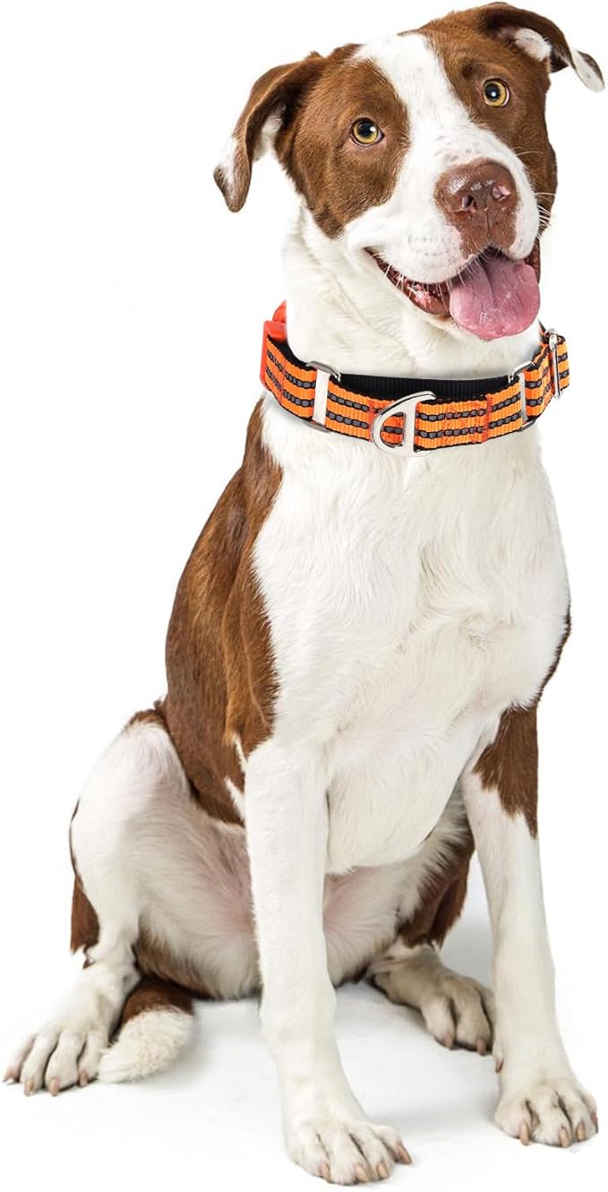 Martingale Collar for Dogs -Reflective Nylon No Slip Choke with Padded Comfort Heavy Duty Dog Collar with Quick Release Buckle for Training, Walking & Overexcited Pulling Orange L