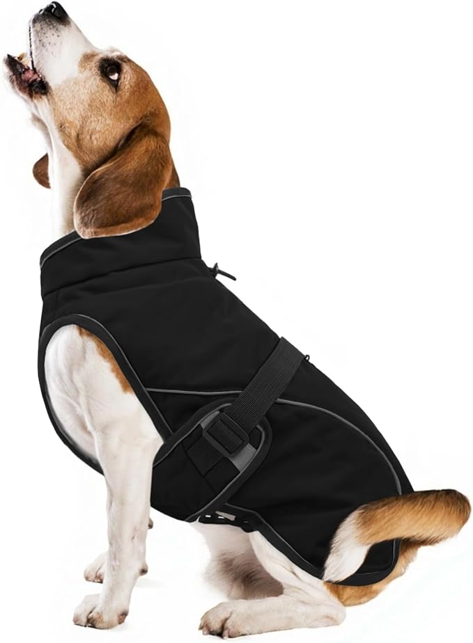 Warm Dog Coat for Winter,Waterproof Jacket with Zipper,Detachable Dog Coat with Adjustable Buckle,Comfortable Jacket for Dogs in Cold and Windy Days.M Black