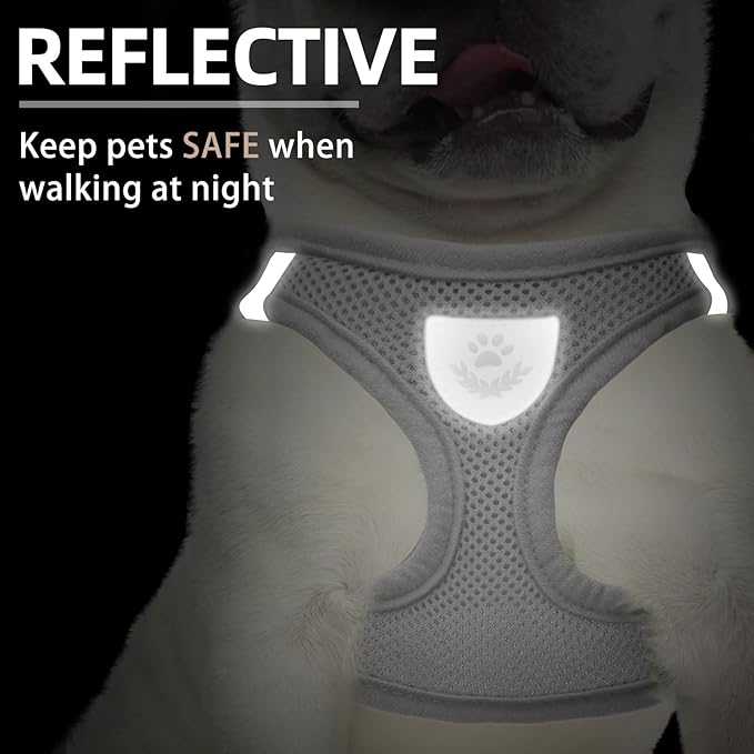 PUPTECK Adjustable Dog Harness Collar and Leash Set Step in No Pull Pet Harness for Small Medium Dogs Puppy and Cats Outdoor Walking Running, Soft Mesh Padded Reflective Vest Harnesses, Solid Grey XS
