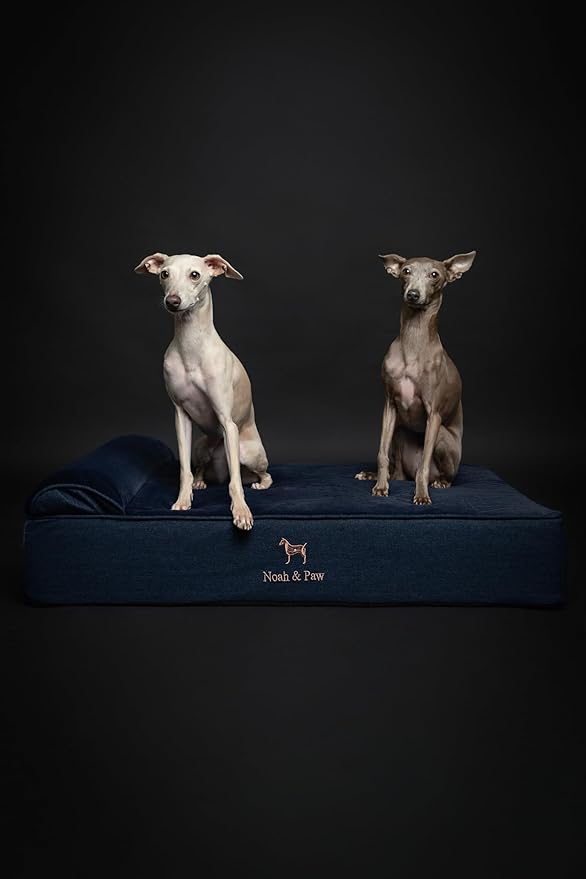 NOAH & PAW Large Dog Bed, 35x25x8.7 Inch, Orthopedic Dog Beds, Eggshell Memory Foam Infused with Cooling Gel, Waterproof, Machine Washable, Includes Inner Cover (Denim Collection)