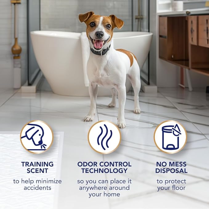 Scott Pet Guard Advanced Dog Pads - Large - 22" x 22" - 50 Pack of Pet Pads