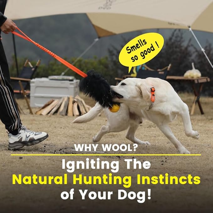 HOWGO Dog Rope Toy,Dog Bungee Chaser Toy 100% Sheepskin,Sheep Smell Tug Toy for All Breeds (Purple, Long Without Ball)