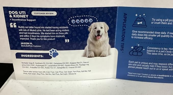 Dog UTI and Kidney Support, Natural Incontinence & Bladder Control for Dogs Reduces Involuntary Leaking, Urinary Tract Problems, Flush Out Bladder Stones & Improves Dog Kidney Health (400 Pills)