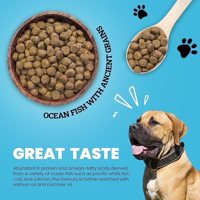 Muenster Ancient Grains Ocean Fish Dry Dog Food, 4lb - Gluten-Free, High Protein, Digestive Support