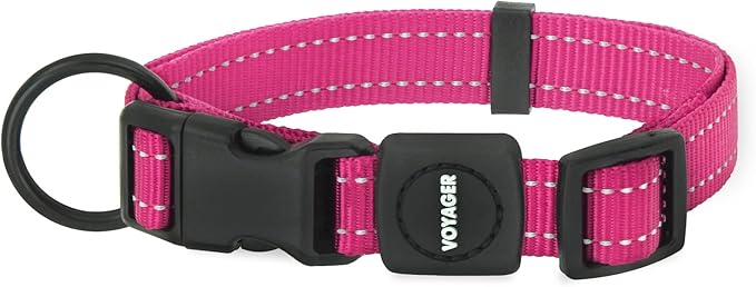 Best Pet Supplies Reflective Dog Collar with Adjustable Length, Heavy-Duty Buckle, and Strong Leash D-Ring, Training, Walking, Jogging Accessory for Small, Medium, and Large Breeds - Fuchsia, S