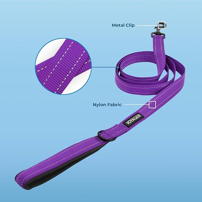 Voyager Reflective Dog Leash with Neoprene Handle, 5ft Long, Supports Small, Medium, and Large Breed Puppies, Cute and Heavy Duty for Walking, Running, and Training - Purple (Leash), M