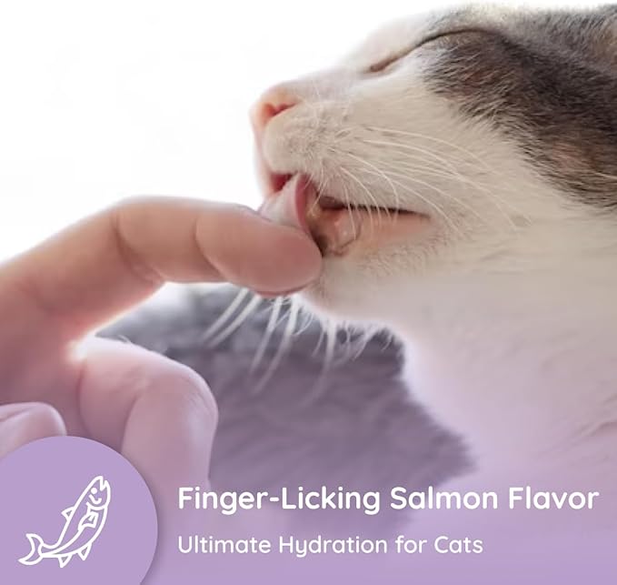 Cat Hydration Electrolyte and Cat Joint Supplement | Hydration Support for Cats w/Glucosamine, Chondroitin, L-Glutamine, Taurine, Lysine & Prebiotics | for Salmon Lovers | 32 Packets